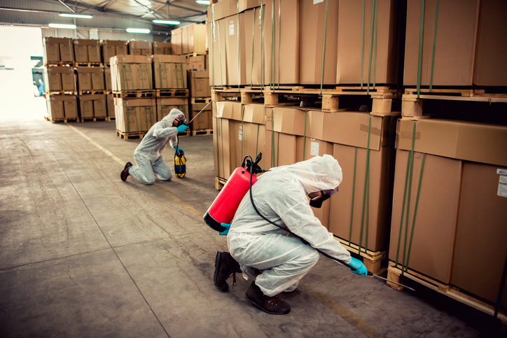 Long-Term Strategies for Effective Commercial Pest Control