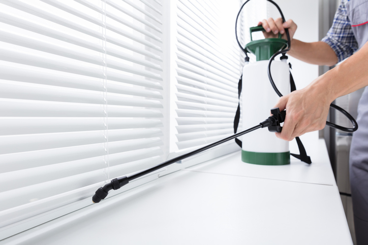 The Role of Hygiene in Effective Home Pest Control: Essential Tips