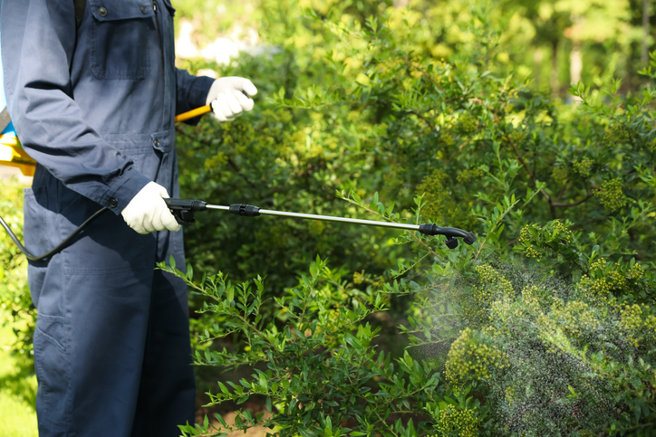 commercial pest control in Lakeland