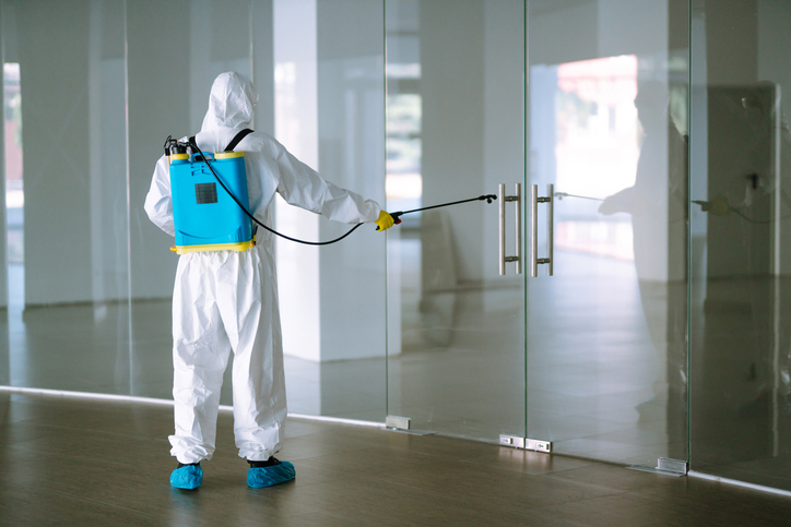 How Commercial Pest Control Can Help Prevent Property Damage